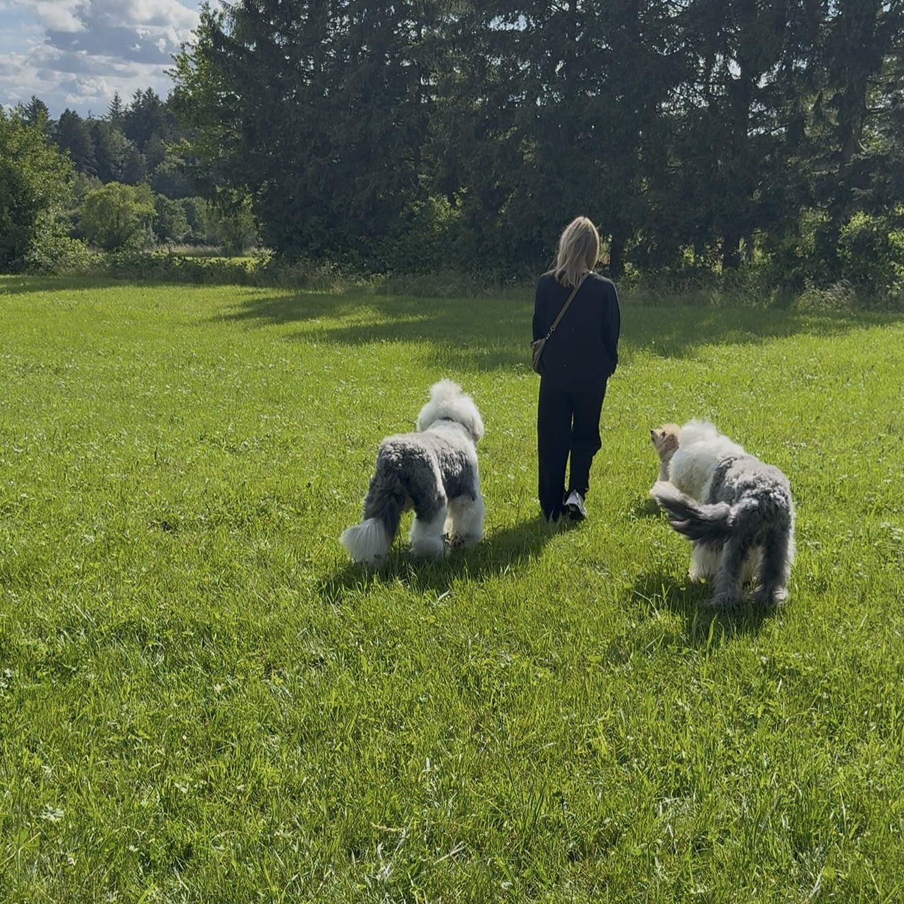 Silvia mit ihren Hunden